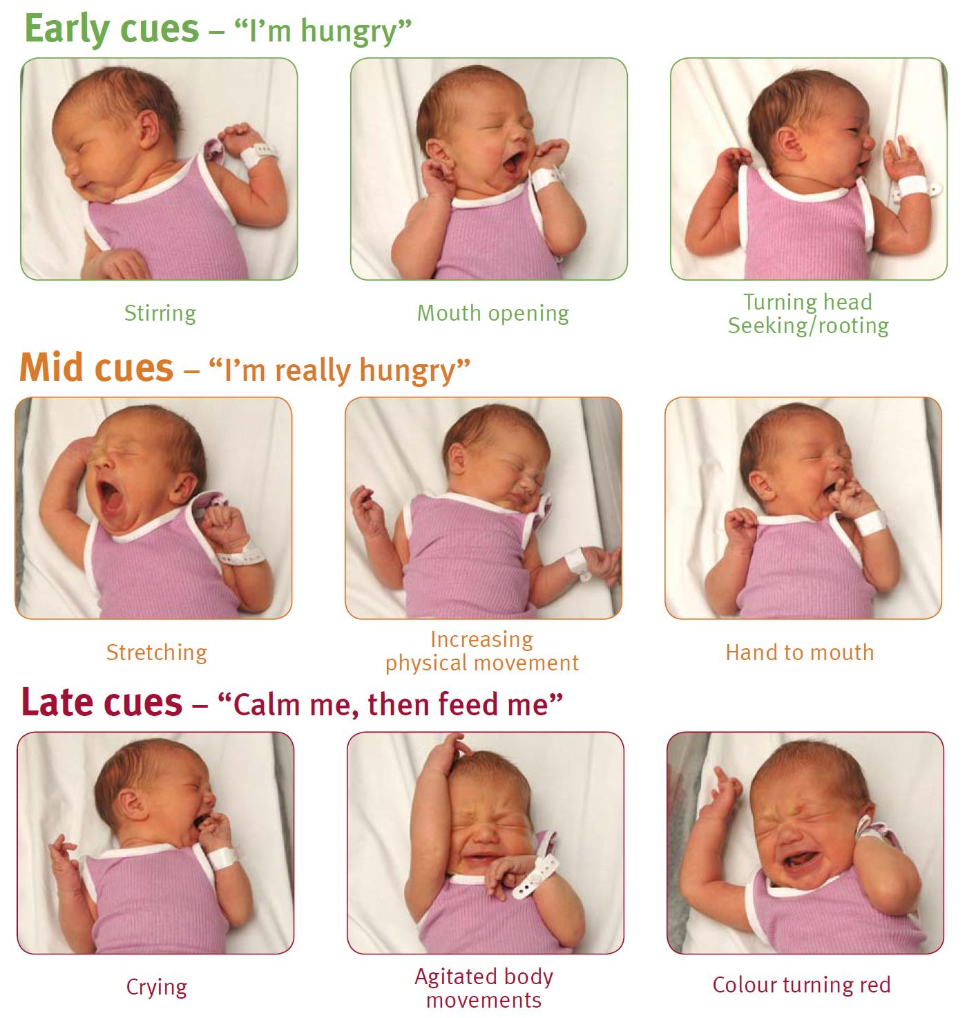 newborn feeding schedule 